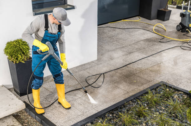 Best Roof Pressure Washing  in Paulina, LA